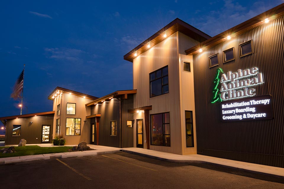 Alpine Animal Clinic Helena Montana Veterinary Construction